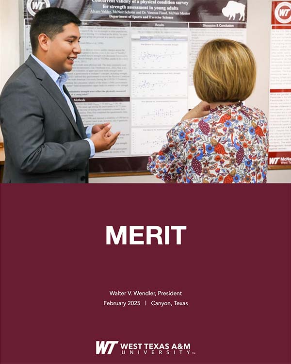 Wendler E-book Merit